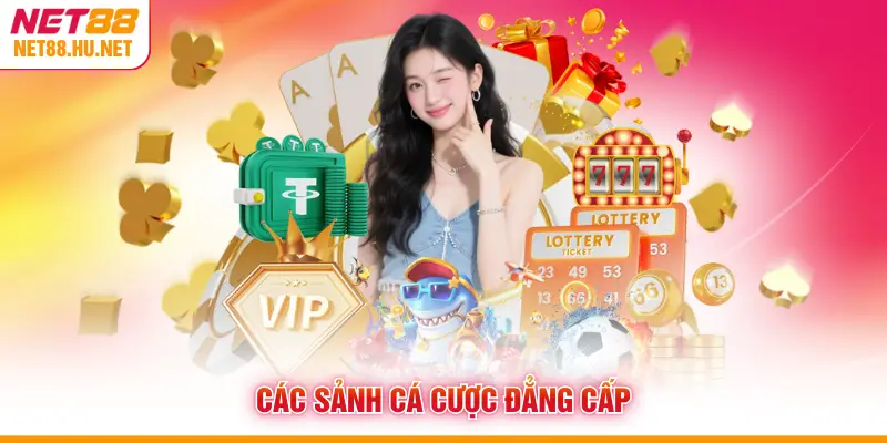 Các sảnh cá cược đẳng cấp