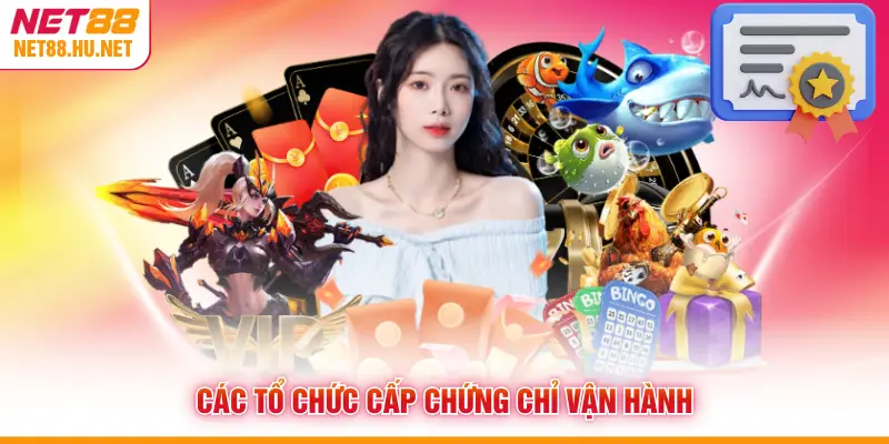 Các tổ chức cấp chứng chỉ vận hành