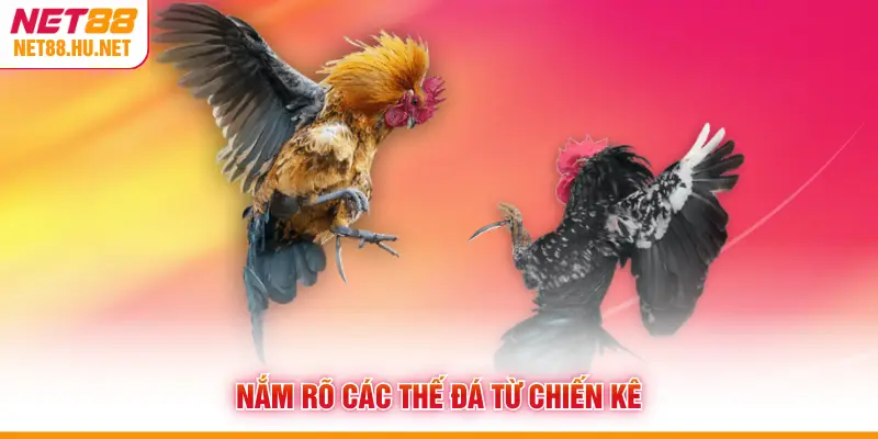 Nắm rõ các thế đá từ chiến kê